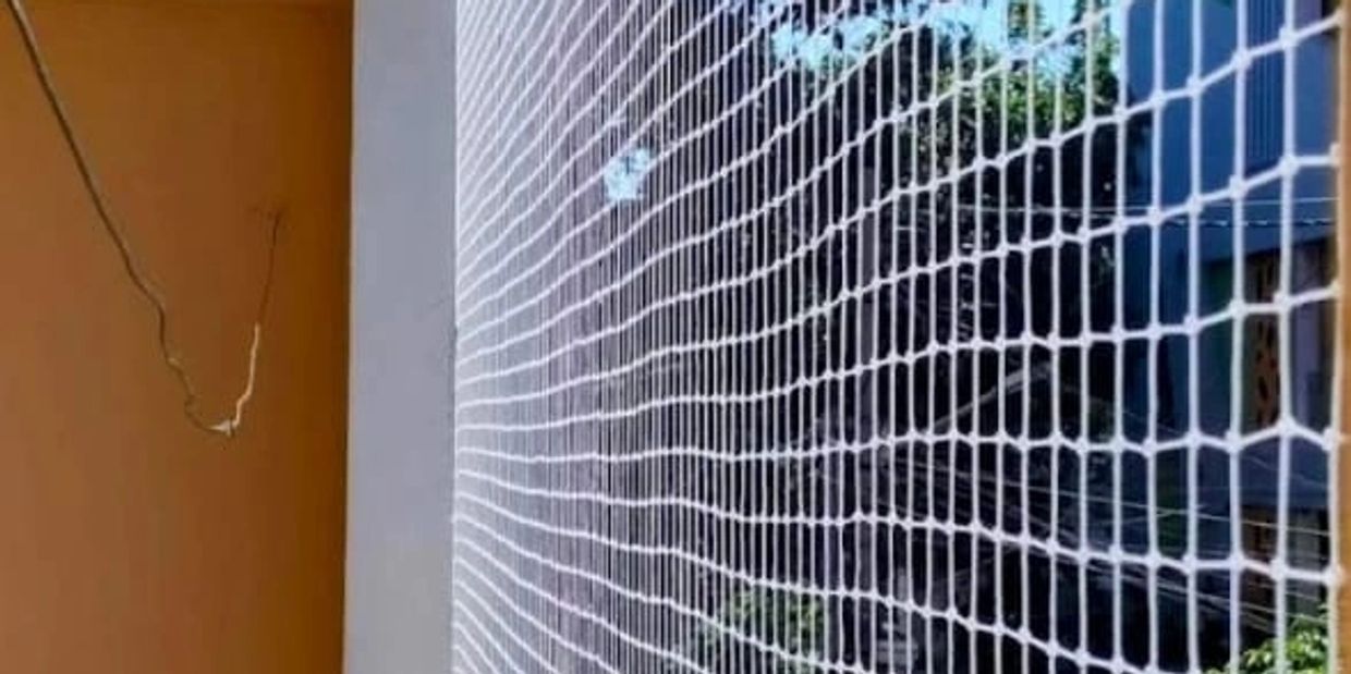 bes bird netting services in Ankleshwar
