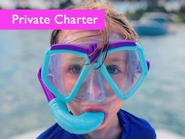 Swim & Snorkel at Peanut Island on this 2 hour private boat tour in Palm Beach, Florida.