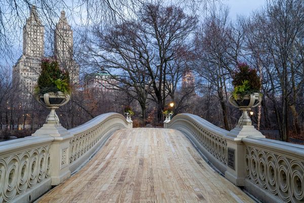 Photograph: Courtesy of Central Park Conservancy