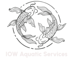 IOW Aquatic Services 