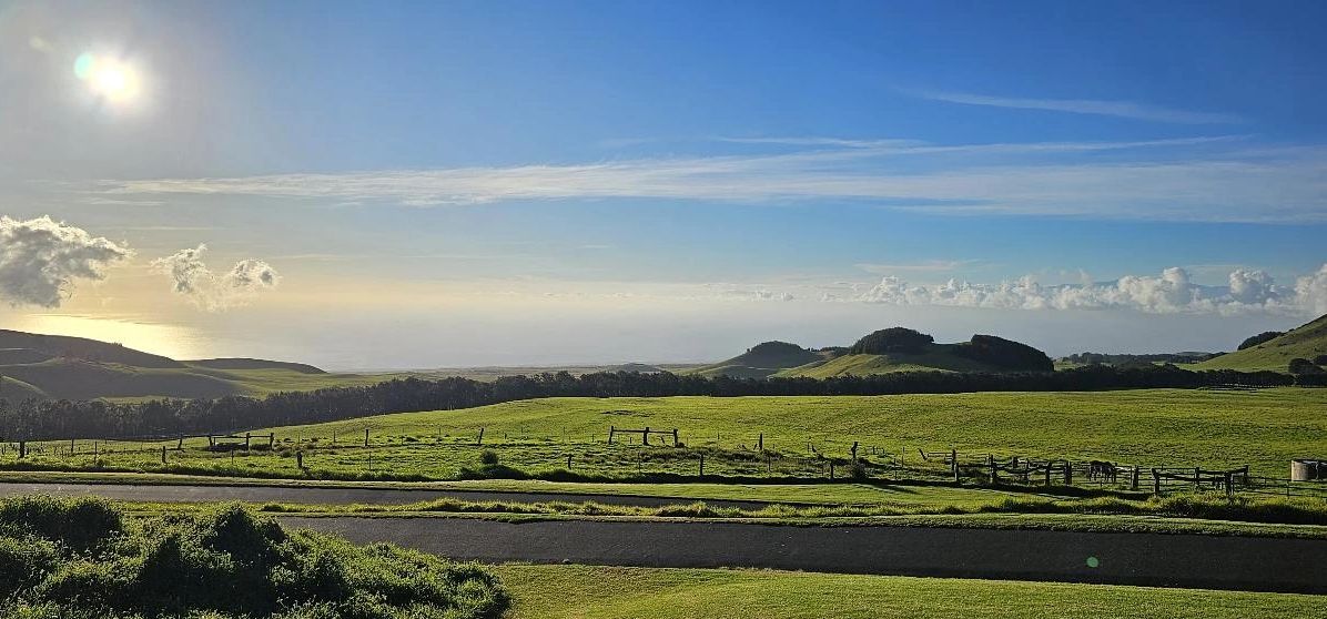 A sunny blue sky above the rolling hills of a ranch in Hawaii.