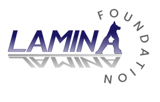 Lamina Foundation