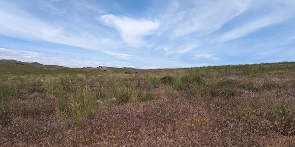 Open grassland with a partly cloudy sky above.