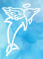 AngelDolphin Accessories