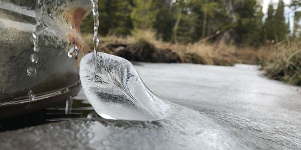 Striving to find a path of reflection while shadowing the natural world!  Pine Star searches....