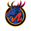Mad Moose Media