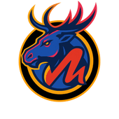 Mad Moose Media