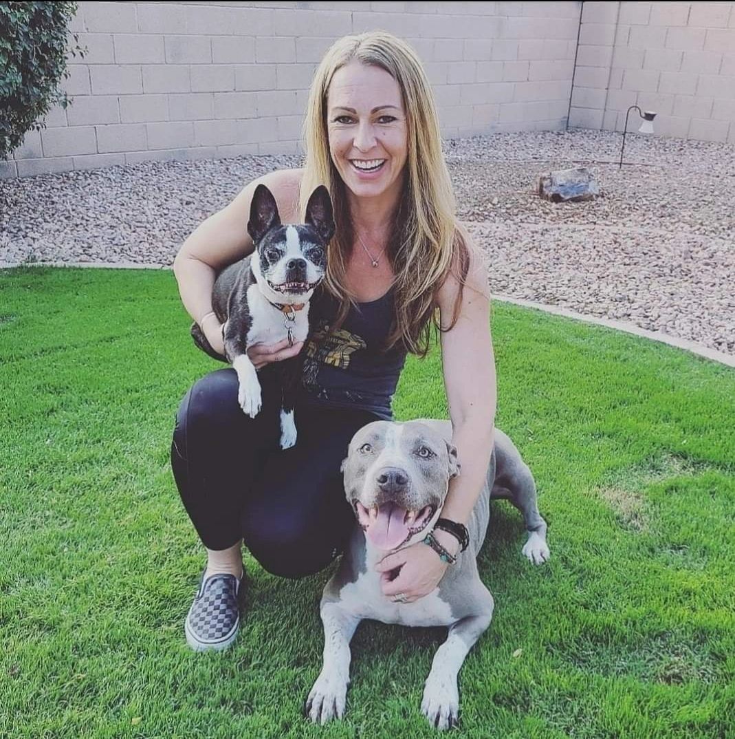 How Much Should You Spend On Dog Training