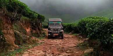 A jeep driving on a rocky, foggy mountain path surrounded by green bushes.