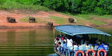 Boat tour near elephants by the riverbank.
