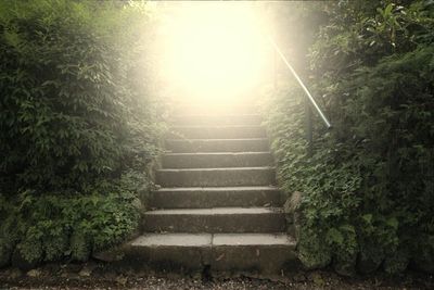 walkway stairs with light