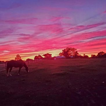 Beautiful Fair Hill sunset!