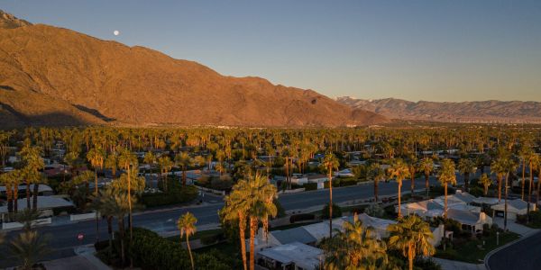 Palm trees and residential houses near a mountain at sunset.