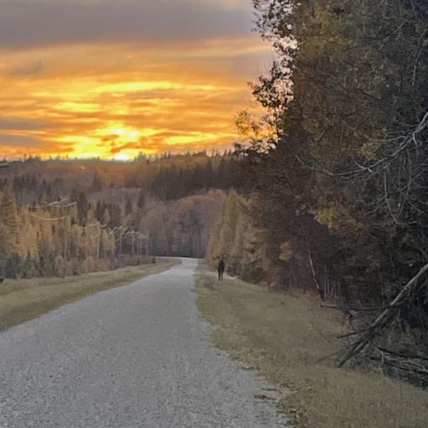 Sunset over a forested landscape with a path beside a water body.