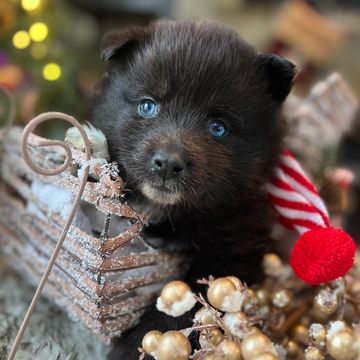 Gorgeous blue eyes!