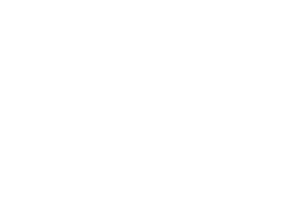 Sofia N Photography