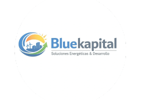 Blue Kapital