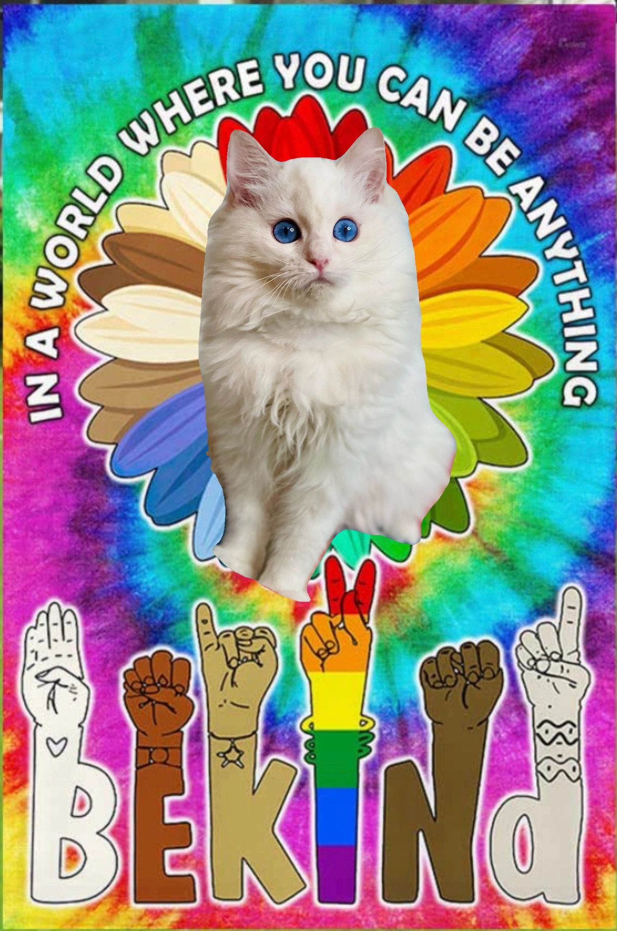 Fluffy white cat with blue eyes on a colorful kindness poster.
