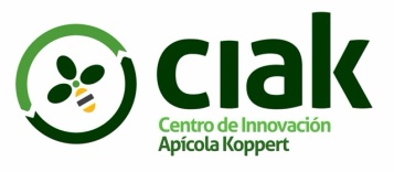 Ciak