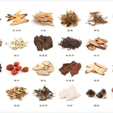 different types of Chinese herbs and medicines 