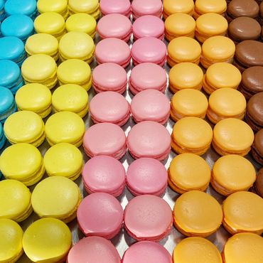 Rows of evely-sized and smooth macarons in blue, yellow, pink, orange, and chocolate brown colors.
