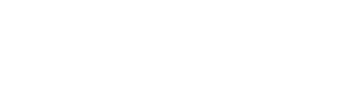 Lao Project & Investment services