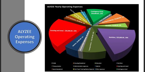 Alyzee operating expenses