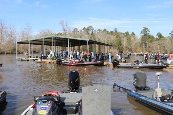 torica whitty fishing