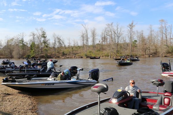 torica whitty fishing