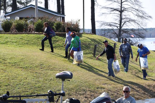 torica whitty fishing