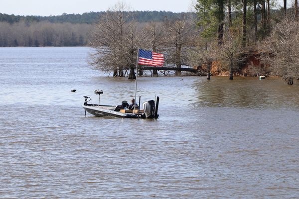 torica whitty fishing