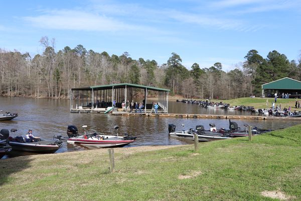 torica whitty fishing