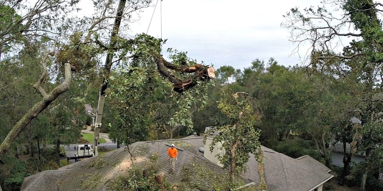 Hurricane Mathew Leamington Hilton Head Island 