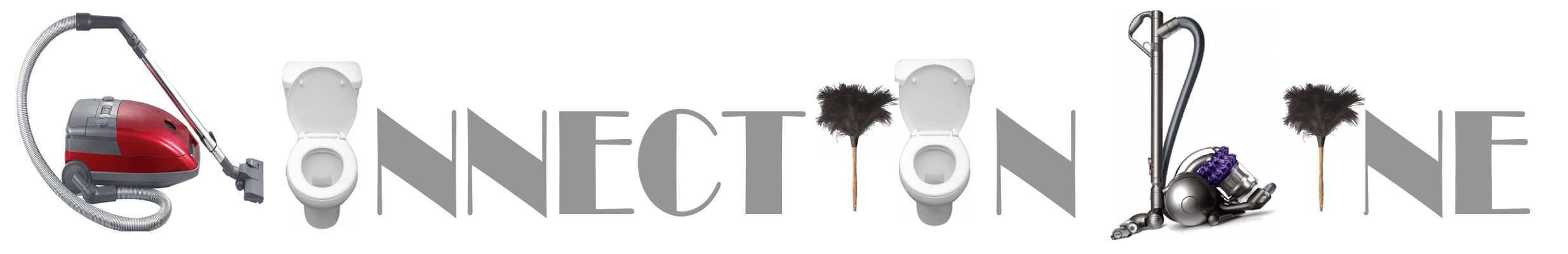 PROVIDING PROFESSIONAL CLEANING SERVICES