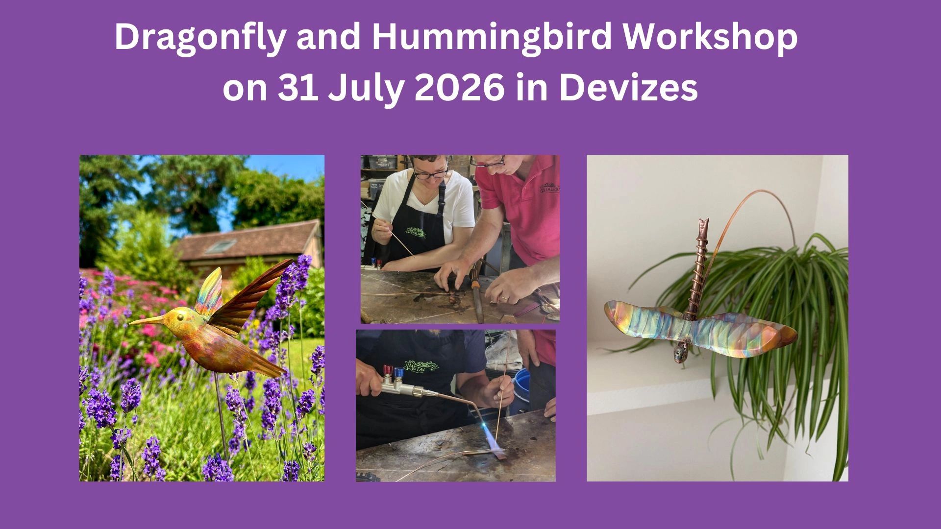 Dragonfly and Hummingbird Workshop