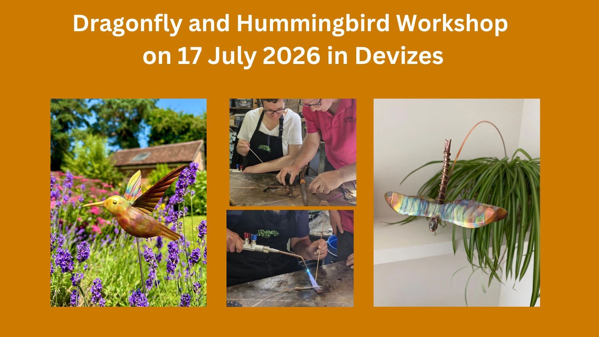 Dragonfly and Hummingbird Workshop