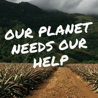 Our planet needs our help