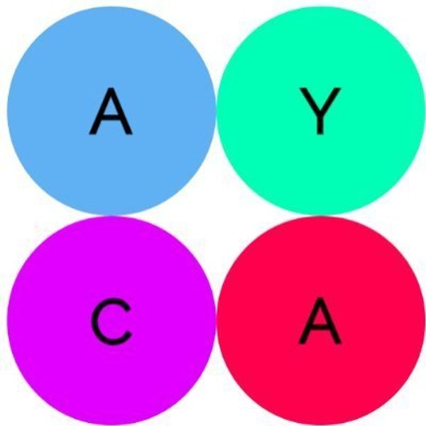 American Youth for Climate Action logo in blue, green, purple, and red