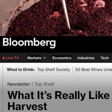Bloomberg writer Elin McCoy speaks with harvest interns and highlights two from the Willamette Valle