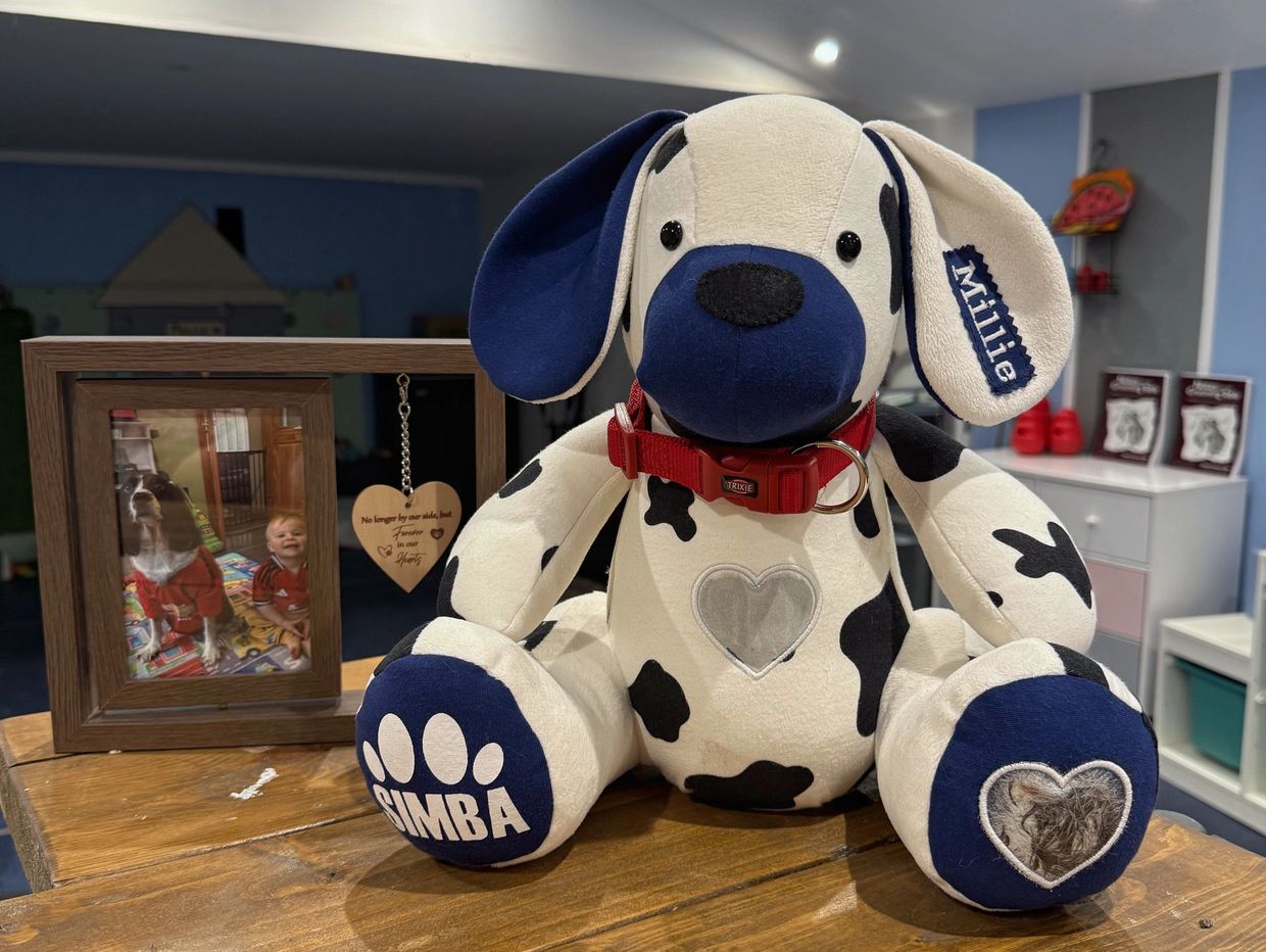 Stuffed dog with Simba and Millie names beside a memorial photo frame.
