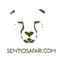 GoGa Safari