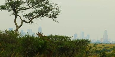 Kenya private tour