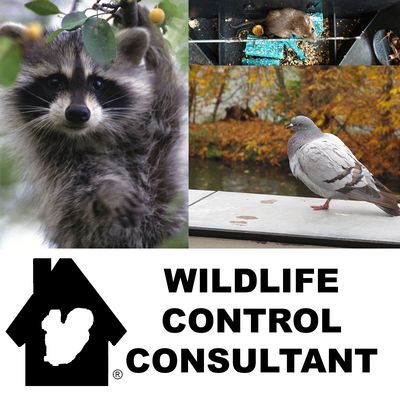 Stephen M. Vantassel host of  Wildlife Control Consultant Podcast. 