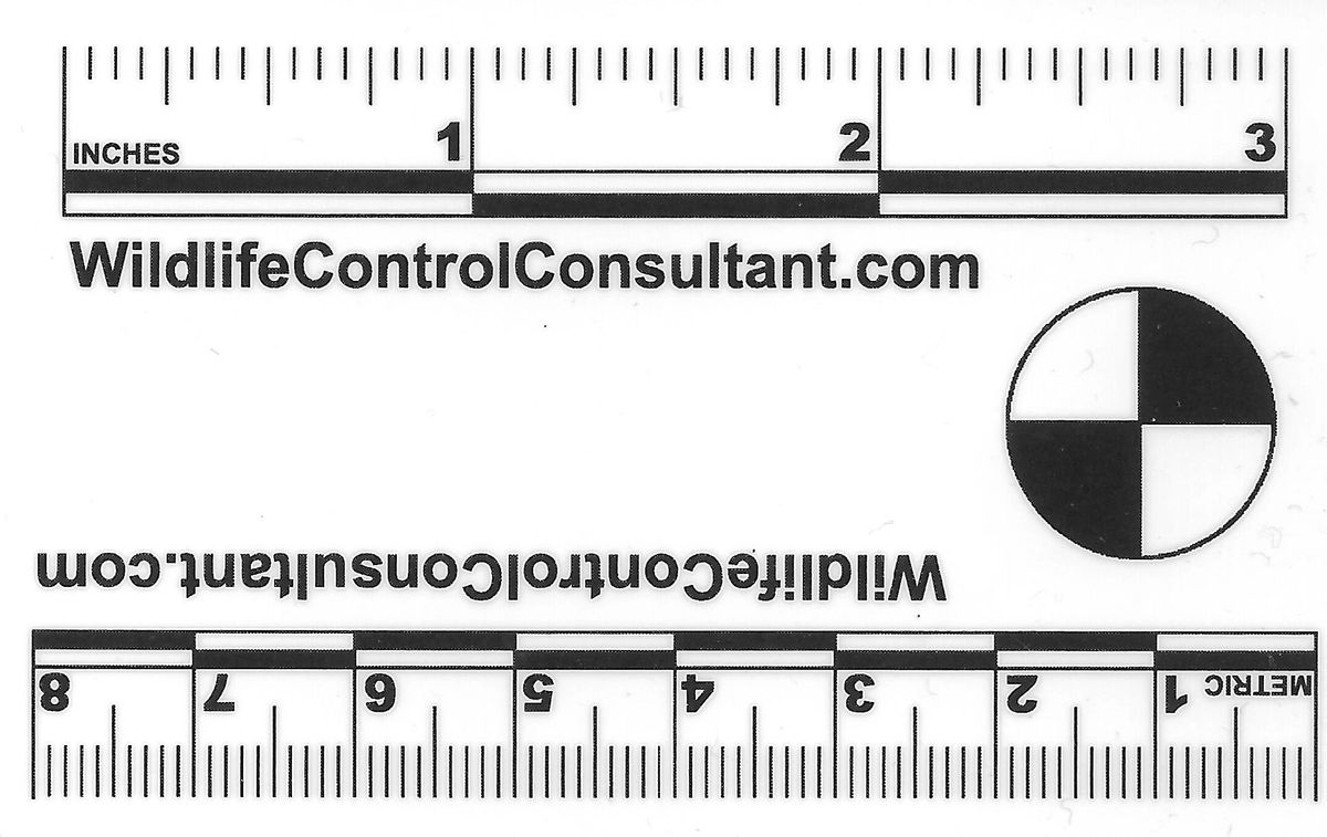 Credit Card Sized Forensic Photography Scale Card credit-card-sized-forensic-photography-scale-card