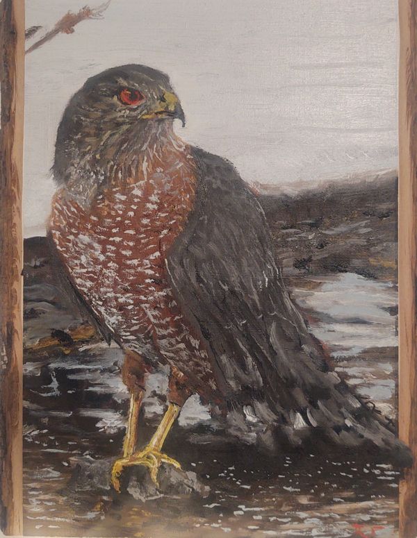 Gallery
Unique Art
Painting
Oil Painting
Amur Falcon
Raptor
Birds of Prey
Eyes
Beautiful
River
Snow
