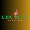 Ebro Delta Birding