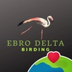 Ebro Delta Birding