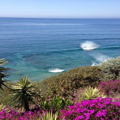 View from Self Realization Fellowship Meditation Gardens. Swami's Marine Conservation Area. Pacific e