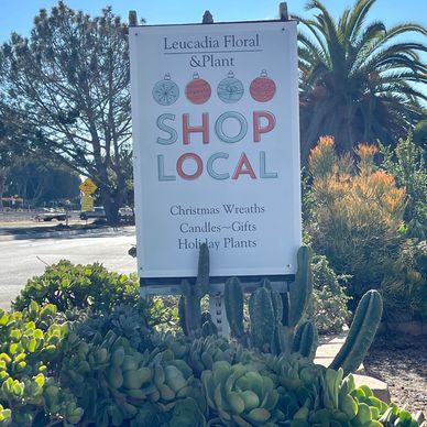 Leucadia Floral & Plant is a perfect local shop for flowers plants e gift. 