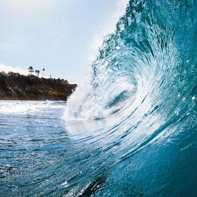 local surf San Diego Encinitas Carlsbad Oceanside Solana Beach